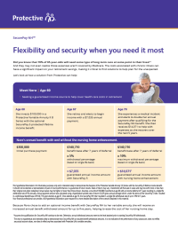 Cover of Secure Pay NH Flyer B Series