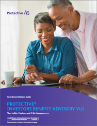 Cover to the IBAVUL investment guide.