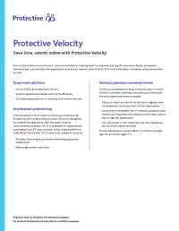 Cover of the Protective Velocity flyer