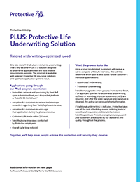 Image of an overview flyer for PLUS