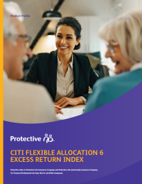 Cover of Citi Flexible Allocation 6 Excess Return index overview brochure.