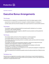 Executive Bonus Arrangements 