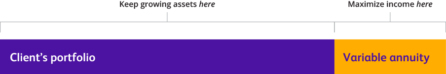 Conceptual graphic to show how a variable annuity can complement a client's existing retirement strategy.