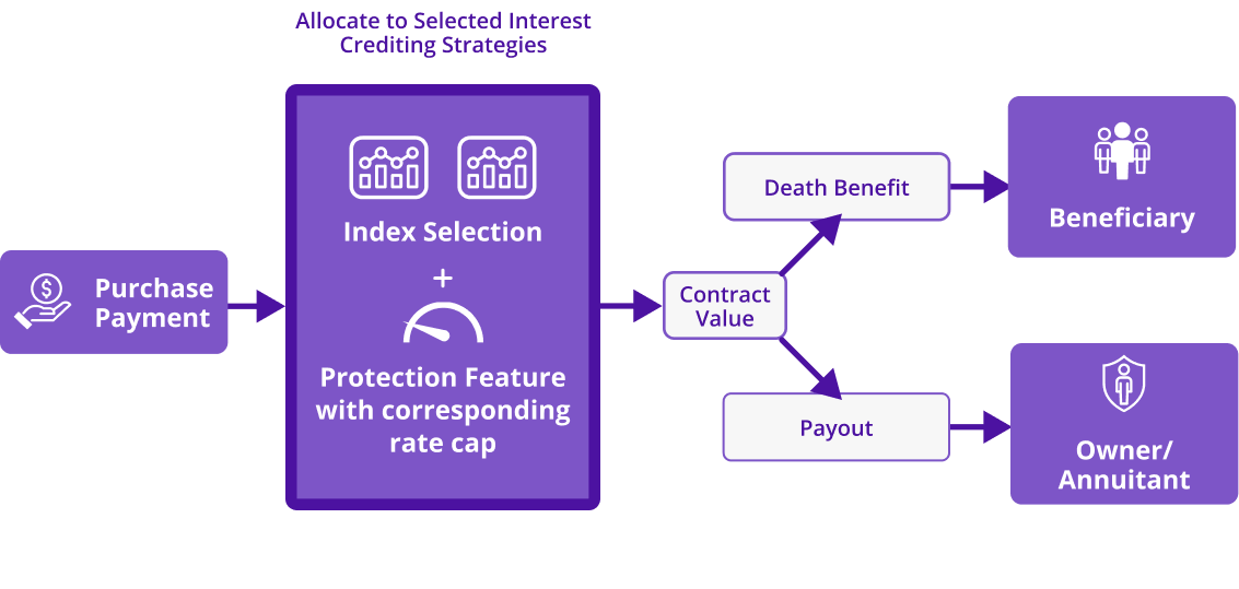 A graphic illustrating how a registered indexed-linked annuity works