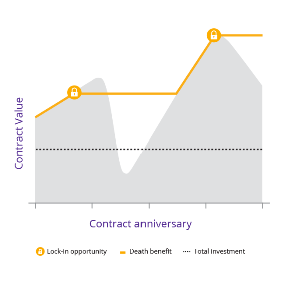 Graph shows death benefit rising with annual market gains.